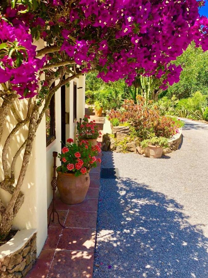 Agroturismo Can Talaias San Carlos Es Cana Eksteriør billede